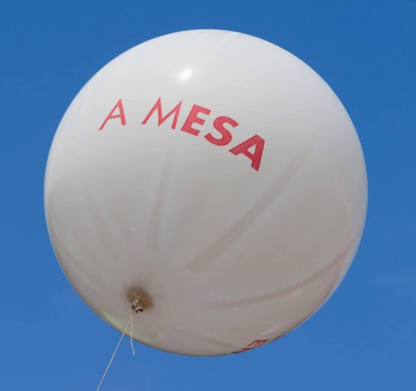 A Mesa de Normalización LingüÃstica